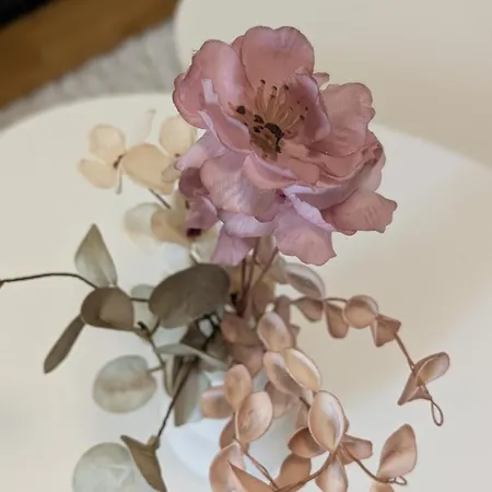 And Cozy Apartment, Free Parking *