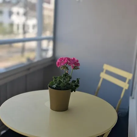 And Cozy Apartment, Free Parking * Kemi